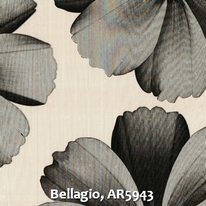 Bellagio, AR5943