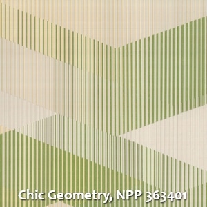 Chic Geometry, NPP 363401