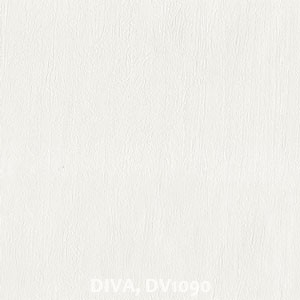 DIVA, DV1090