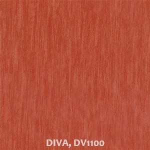 DIVA, DV1100