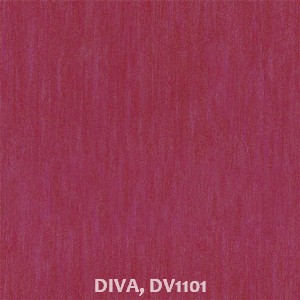DIVA, DV1101