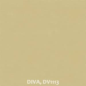 DIVA, DV1113