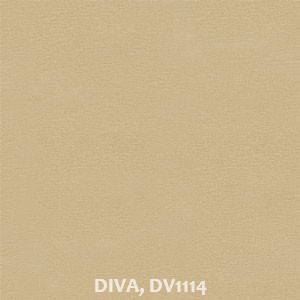 DIVA, DV1114