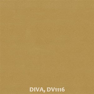 DIVA, DV1116