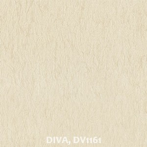 DIVA, DV1161