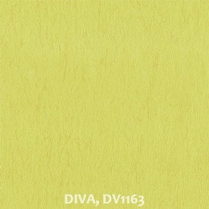 DIVA, DV1163