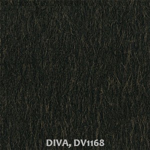 DIVA, DV1168