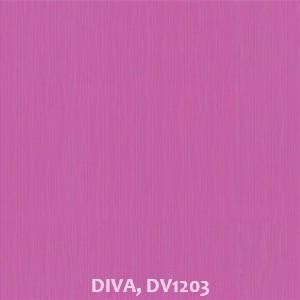 DIVA, DV1203