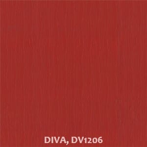 DIVA, DV1206