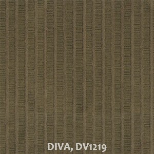 DIVA, DV1219