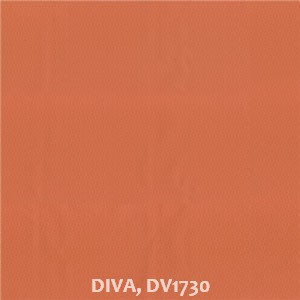 DIVA, DV1730