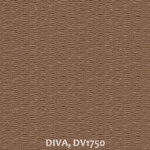 DIVA, DV1750
