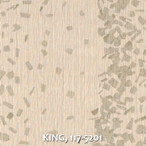 KING, 117-5201