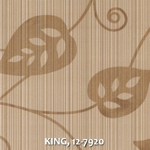 KING, 12-7920