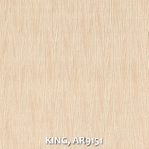 KING, AR9151