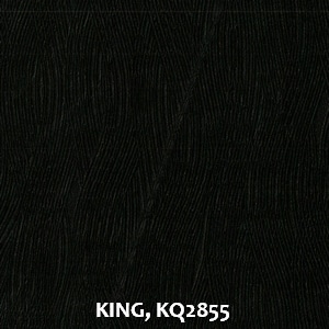 KING, KQ2855