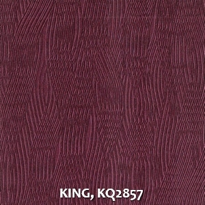 KING, KQ2857