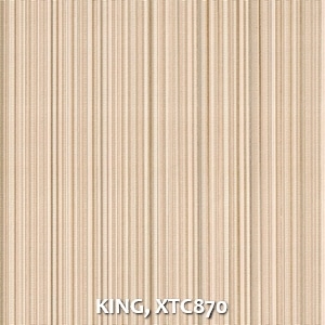 KING, XTC870