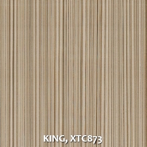 KING, XTC873