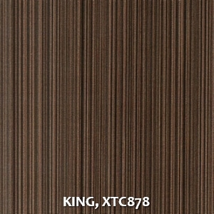 KING, XTC878
