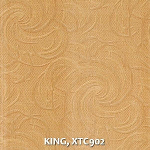 KING, XTC902