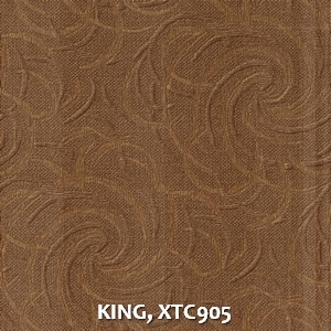 KING, XTC905