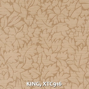 KING, XTC916