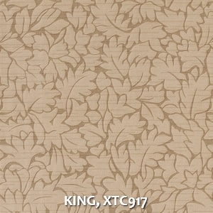 KING, XTC917