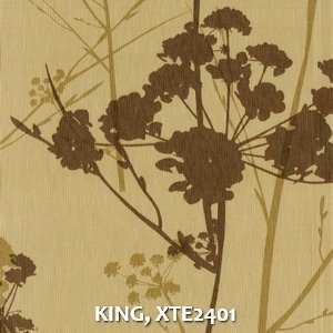 KING, XTE2401