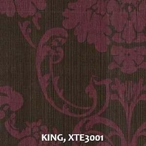 KING, XTE3001
