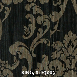 KING, XTE3003