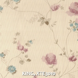 KING, XTE3010
