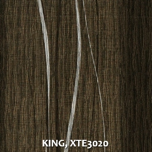 KING, XTE3020