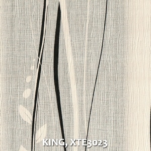 KING, XTE3023
