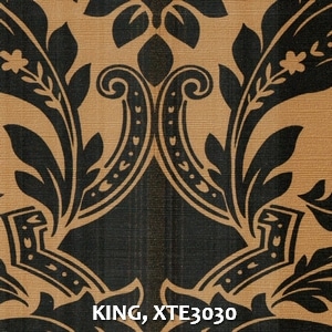 KING, XTE3030