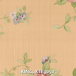 KING, XTE3050