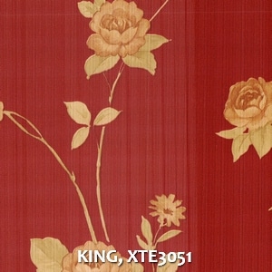 KING, XTE3051