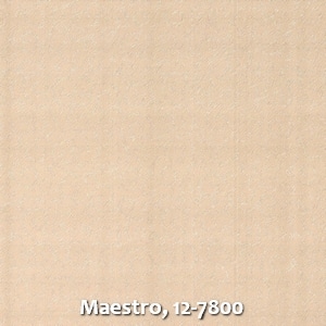 Maestro, 12-7800