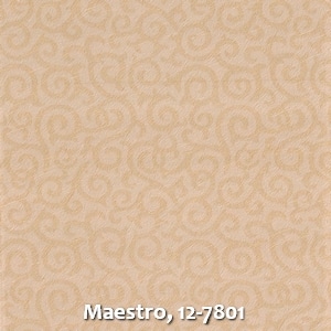 Maestro, 12-7801