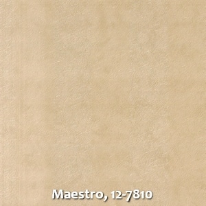 Maestro, 12-7810