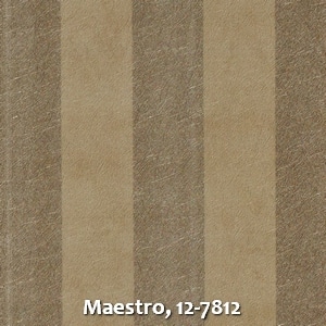 Maestro, 12-7812