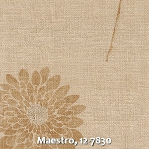 Maestro, 12-7830