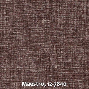 Maestro, 12-7840