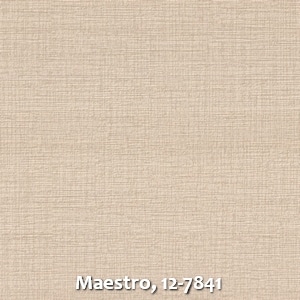 Maestro, 12-7841