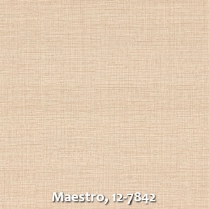Maestro, 12-7842