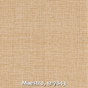 Maestro, 12-7843