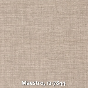 Maestro, 12-7844