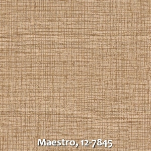Maestro, 12-7845