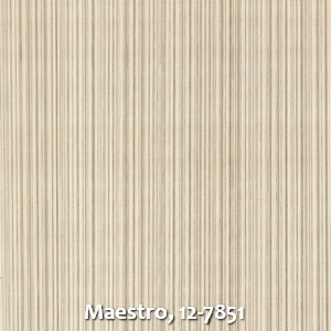 Maestro, 12-7851