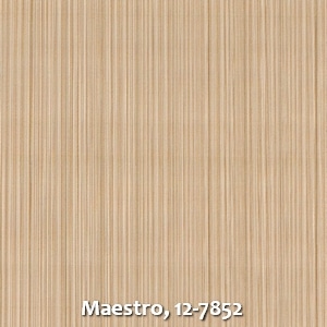 Maestro, 12-7852